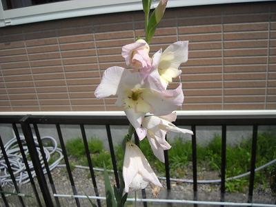 2010.07.25 044.jpg