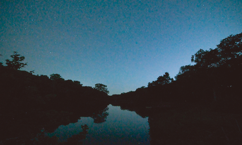小野沼公園