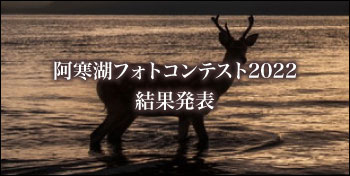 阿寒湖フォトコンテスト2022結果発表