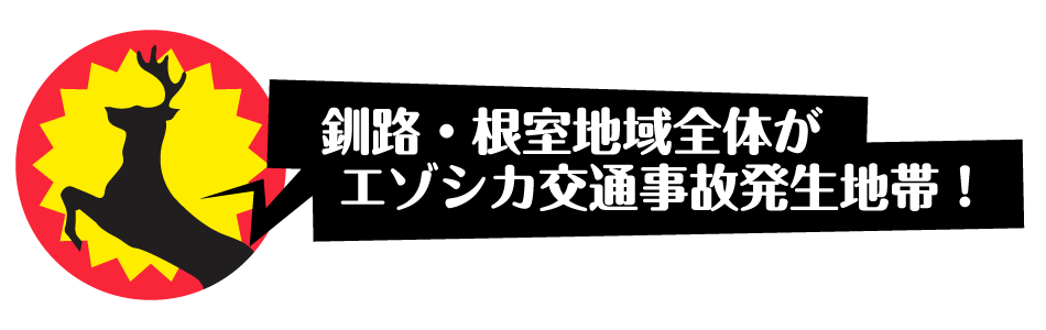 釧路・根室地域全体がエゾシカ交通事故発生地帯！